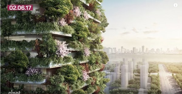 A vertical forest will soon grow in China's Nanjing City to help address the growing problem of air pollution.