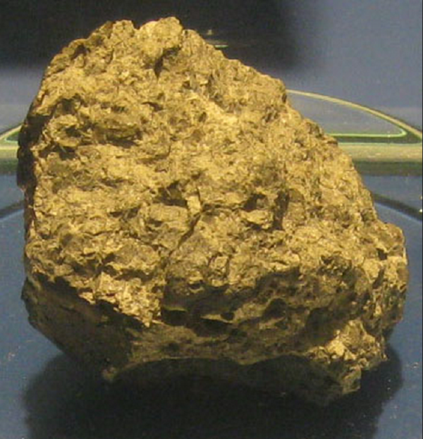 In 1996, scientist Allan Hills announced the discovery of fossilized microbial life in a meteorite from Mars.