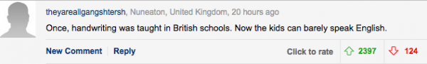 Comment from a British web user