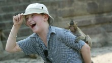A past tourist mingles with the monkeys in Lopburi, Thailand