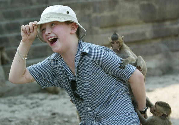 A past tourist mingles with the monkeys in Lopburi, Thailand