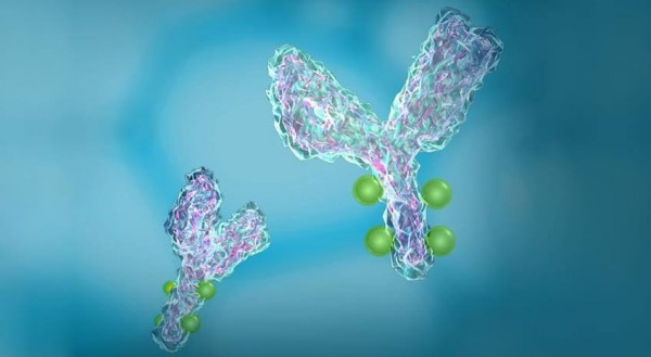 Antibody–drug conjugates (ADCs) is working its way through clinical trials.