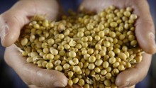 China's strong demand and Argentina's relatively dry weather are driving soybean prices up.