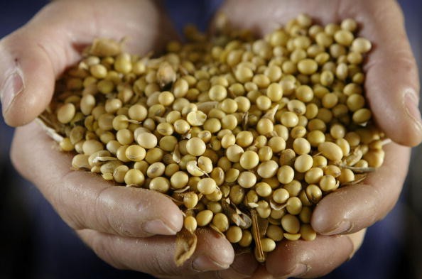 China's strong demand and Argentina's relatively dry weather are driving soybean prices up.