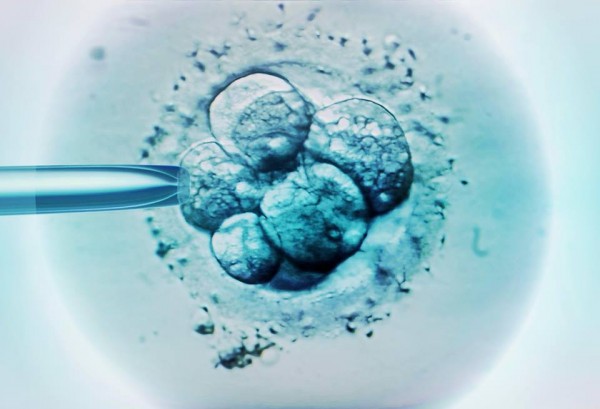 Probes in IVF Mix-up Case