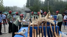 China to Ban Ivory Trade by 2017.
