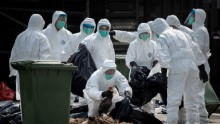 Hong Kong Witnesses Second Bird Flu Death. 