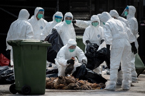Hong Kong Witnesses Second Bird Flu Death. 