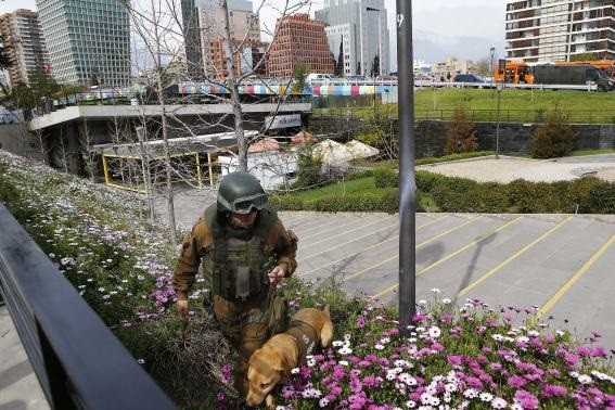 A Chilean police officer uses a dog to inspect an area where the bomb exploded in an underground train station on Monday, September 8.