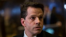 Scaramucci has been picked by president elect Donald Trump. 