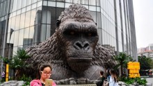 Kong: The Skull Island Crosses $500 Million Mark. 