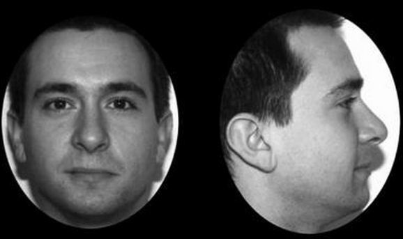 Attractiveness study