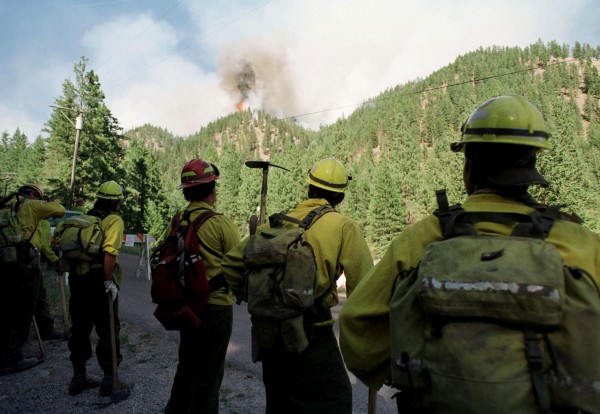 Fires have raged for weeks across 11 Western states from the Rocky Mountains to the Pacific Ocean, laying waste to nearly four million acres (1.6 million hectares) since January.