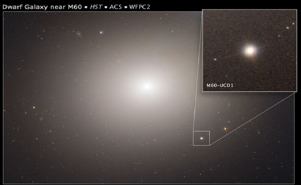 M60-UCD1 Black hole
