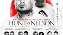 UFC Fight Night 52: Hunt vs. Nelson poster