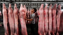 Pork Industry in China