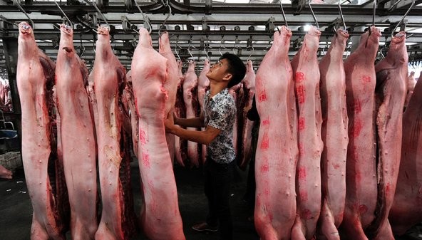 Pork Industry in China