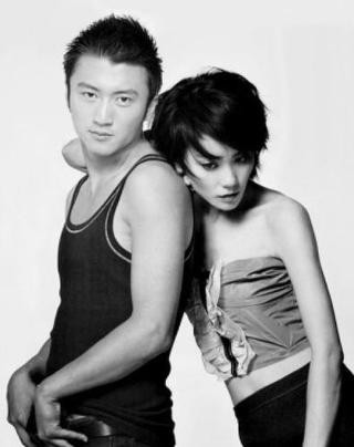 Wang Fei & Nicholas Tse