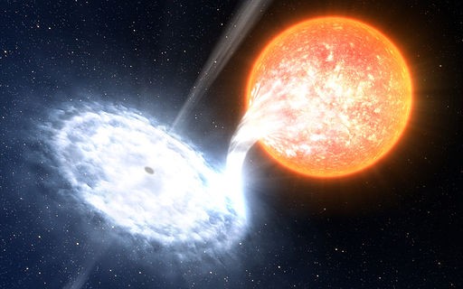 A binary black hole sucking in a star