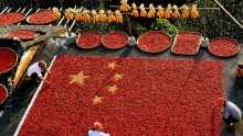 Farmers arrange chillies, rice and beans to form the Chinese national flag in preparation for the 65th anniversary marking the founding of the People's Republic of China in Jiangxi province.