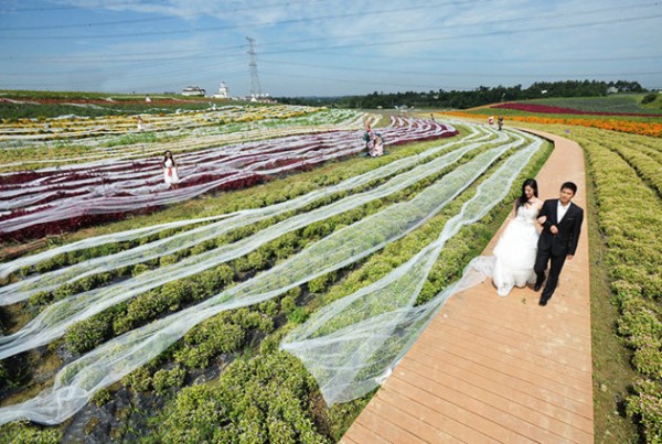 China's entry to Guinness World Records: Longest Wedding Gown