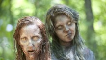 Walking Dead Zombies