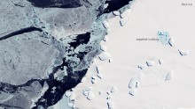 Antarctic sea ice