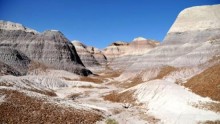 The Petrified Forest 