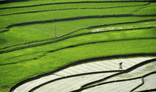Farming in China