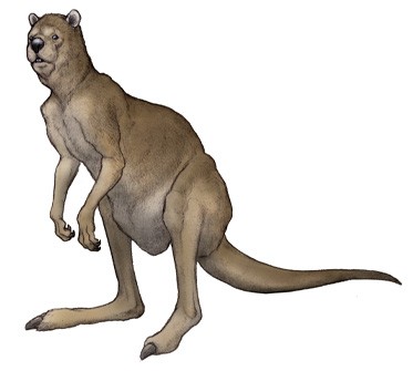 Procoptodon goliah