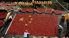 China's expanded farming rights