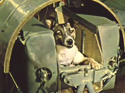 Laika, the first living creature launched into space