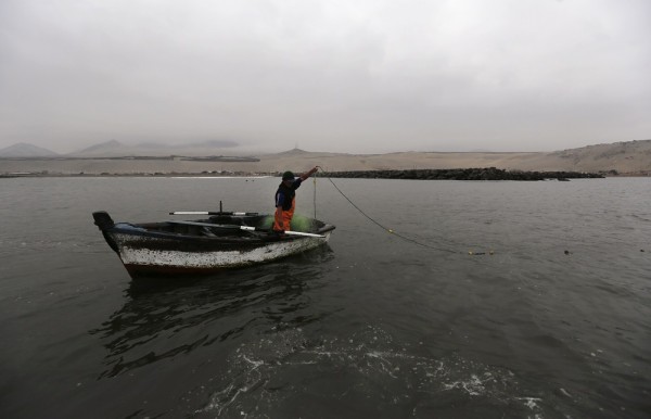 Fisherman