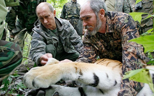 Vladimir Putin assists with the tagging of a Siberian tiger in 2008.