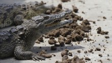 Indonesia Crocodile-Guarded Prison