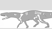 Nundasuchus songeaensis