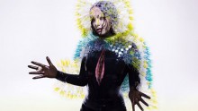 Bjork's album, Vulnicura.