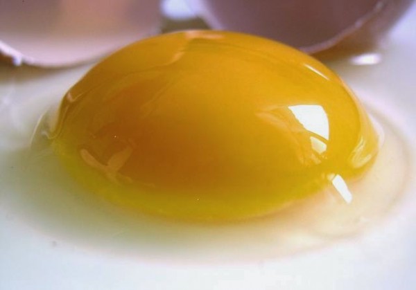unboiled egg