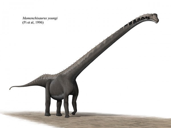 Mamenchisaurids dinosaur