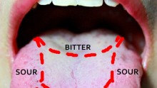 Tongue Taste Zones