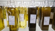 Olive Oil Ingredient Can Kill Cancer Cells in Minutes, Lab Results Show