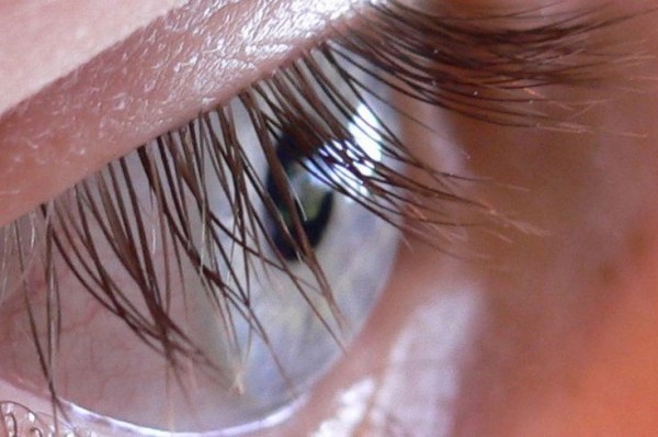 Human eyelashes