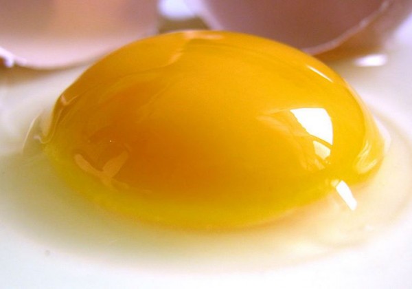 Egg yolk
