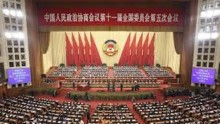 CPPCC Delegates Scramble To Air A Myriad Of Issues In Its Annual Sessions