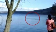 Nessie's wake?