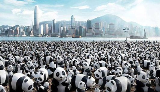 Panda-mania invades Hong Kong