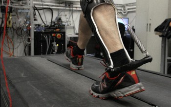 Ankle exoskeleton