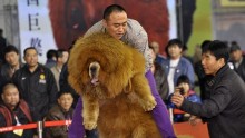 A Tibetan mastiff in China