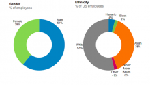 LinkedIn Employee Demographics