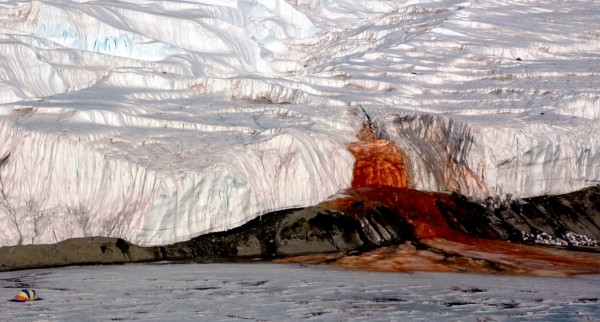 Found in Taylor Glacier, Blood Falls gushes out brine rich in iron and sulfur into the Antarctic.